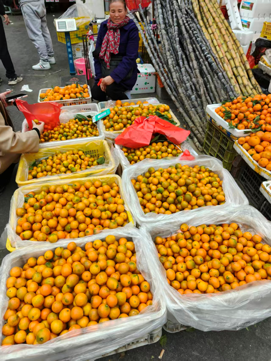 1771138280694575.png image.png