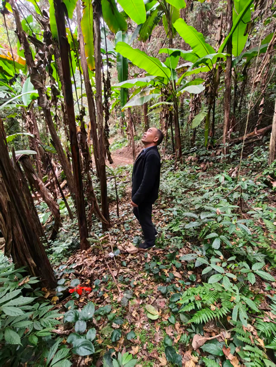 1771138503503687.png image.png