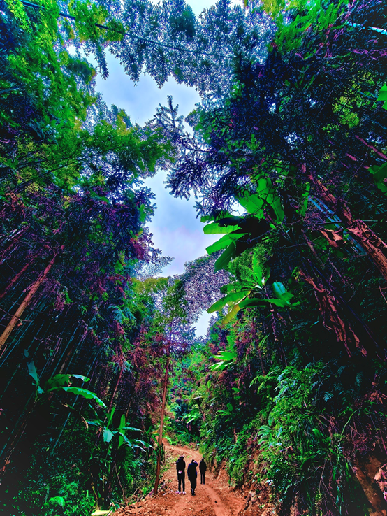 1771138571384790.png image.png