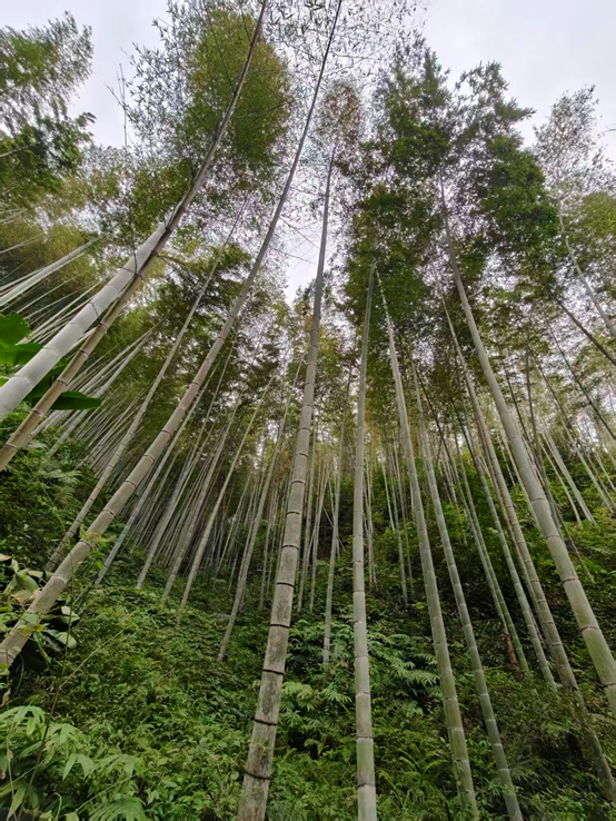 1771138246133450.png image.png