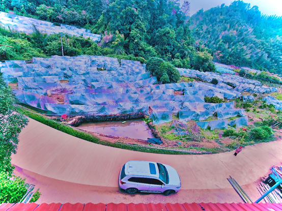 1771138207109339.png image.png